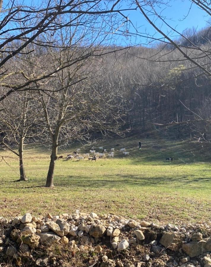 Soko Holiday Home Bihać Buitenkant foto