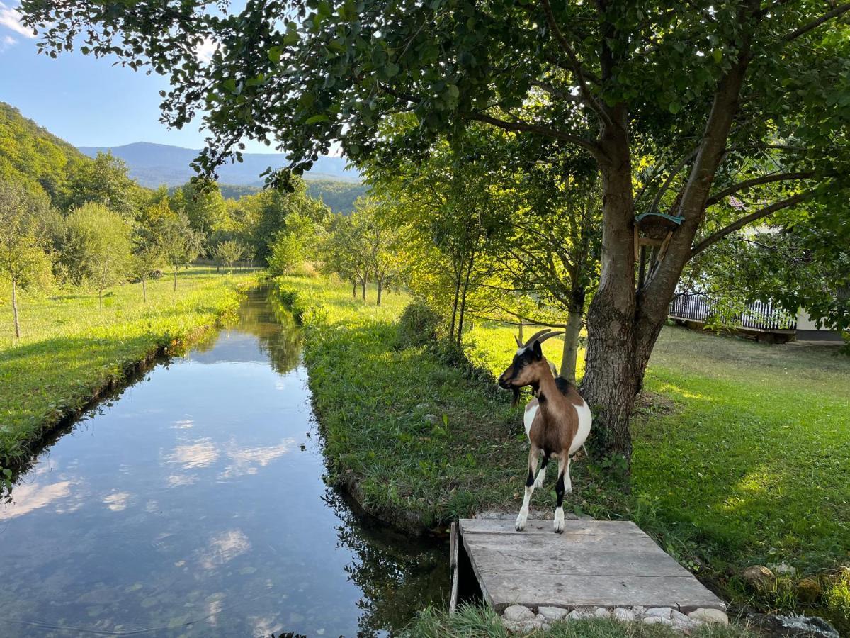 Soko Holiday Home Bihać Buitenkant foto